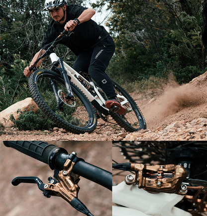 Formula Cura 4 Kashima Coat TFRA/FCS