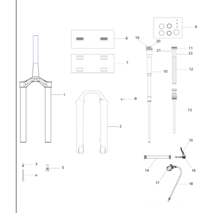 SELVA C COIL SPRING (VARIOUS RATES)