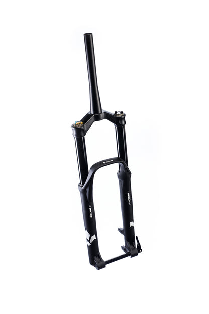 SELVA C 29" Fork