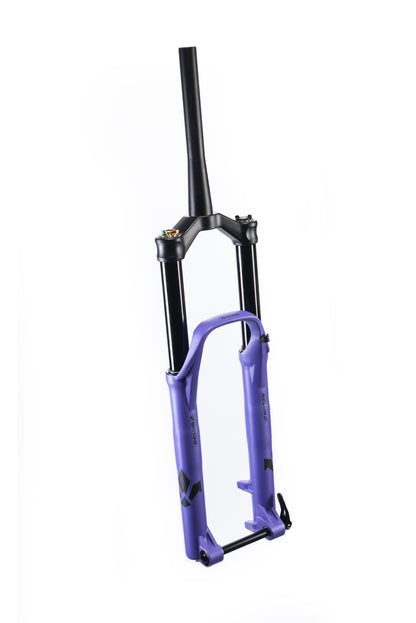 SELVA C 29" Fork